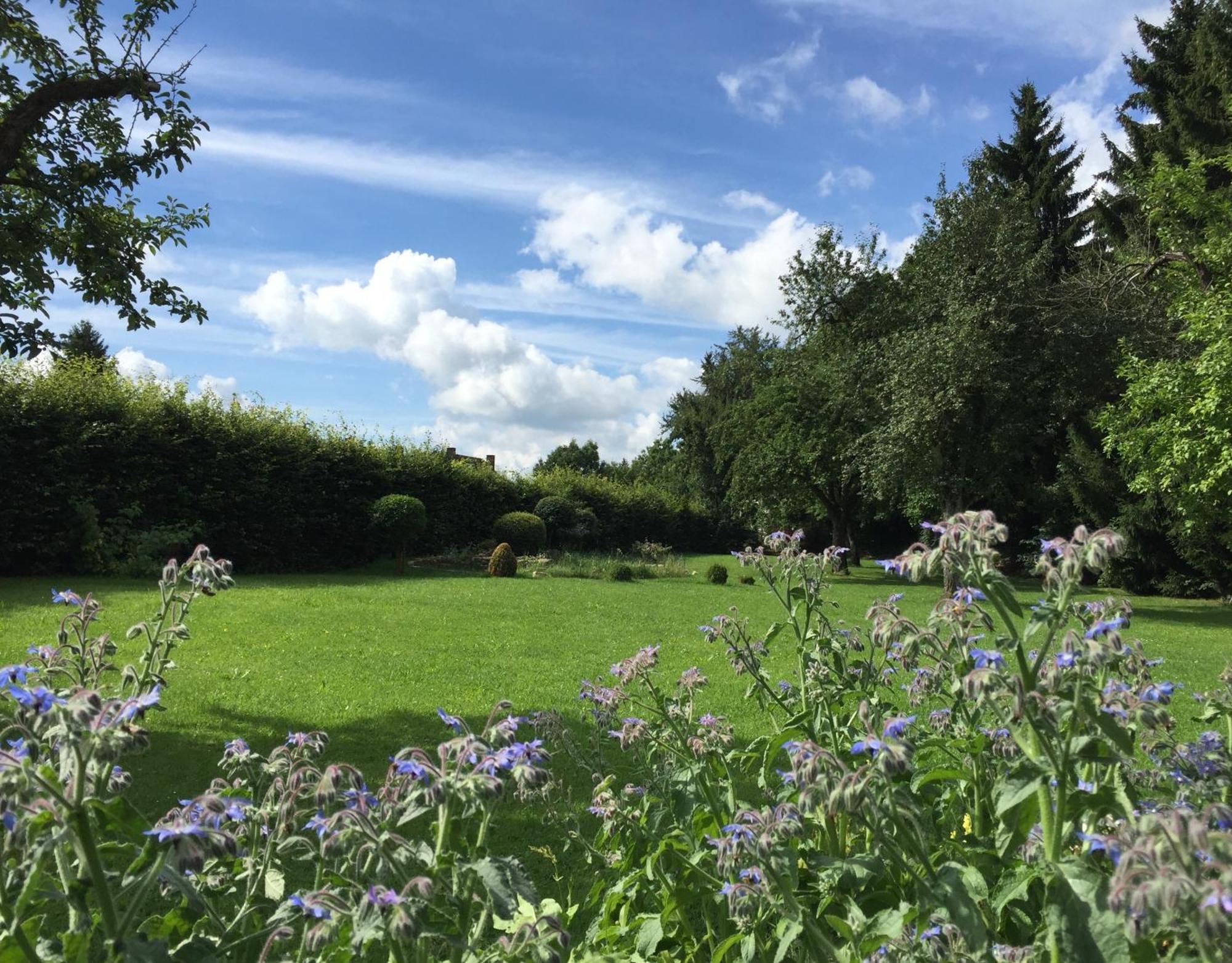 Hotel Flair Gruener Baum Donaueschingen